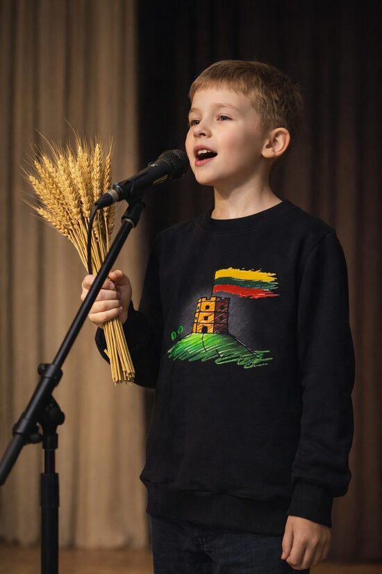 (134-152) Palaidinukė “Gedimino pilis”