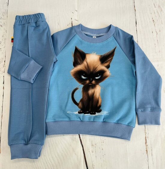 (92) Komplektukas  "Pikts katinėlis" 