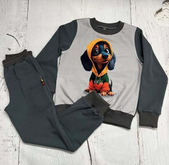 (116) Komplektukas su kelnėmis "Taksiukas patriotas"