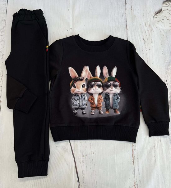 (104-134) Komplektas "Trys kieti zuikiai" 