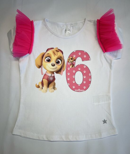 (116) Marškinėliai “Gimtadienis 6”   