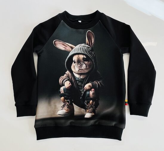 (116-128)   Palaidinukė “Rimtas zuikis” 