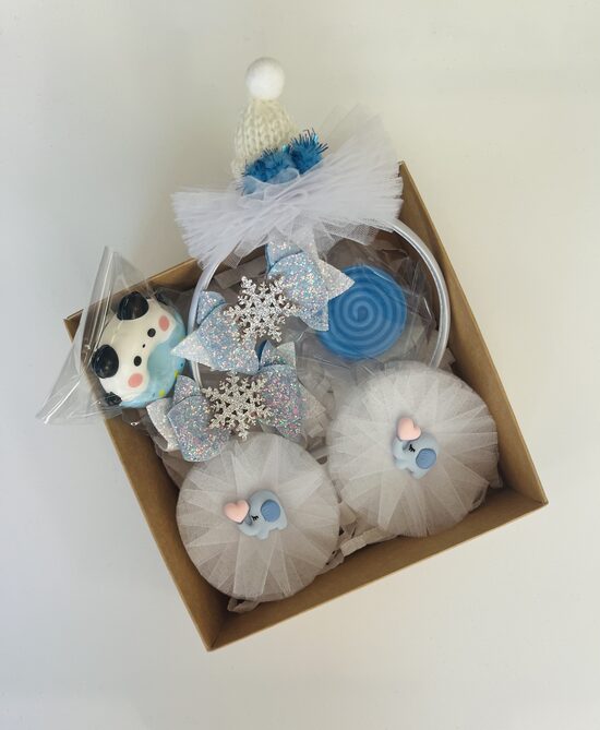 Rinkinukas “Žiemos dovana” 