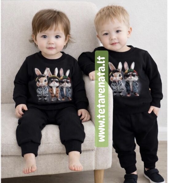 (104-134) Komplektas "Trys kieti zuikiai" 