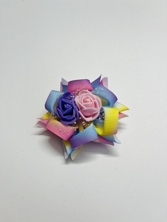 Plauų segtukas “Mirgu margu”